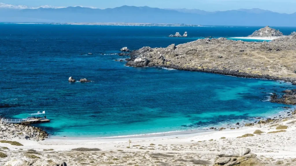 El turismo sustentable es la mejor forma de visitar Panamá 4 Área de Uso Múltiple Bahía de Damas